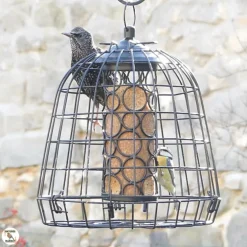 Cage de protection anti-étourneaux noire en métal Ø 27,5 x 25 cm