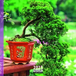 Calendrier 2025 Bonsai coloris multicolore Aquarupella - 16,5 x 16,5 cm