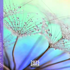 Calendrier 2025 goutte de rosée coloris multicolore Aquarupella - 16,5 x 16,5 cm
