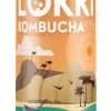 Canette de Kombucha tulsi gingembre Lökki - 33 cl