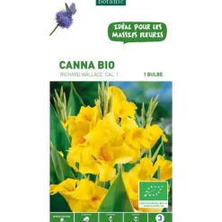 Canna Richard Wallace bio jaune botanic® - 1 bulbe
