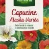 Capucine Alaska Variée Vilmorin - graines à semer