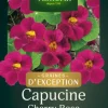 Capucine Cherry Rose graines d'exception Vilmorin - graines à semer