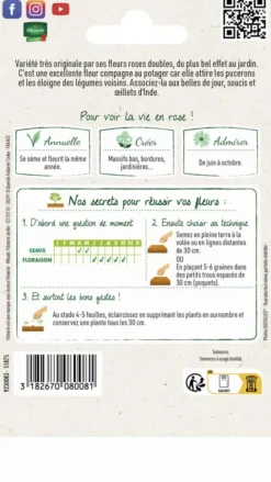 Capucine Cherry Rose graines d'exception Vilmorin - graines à semer