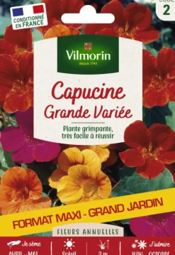 Capucine grande variée Grand jardin Format maxi Vilmorin - graines à semer