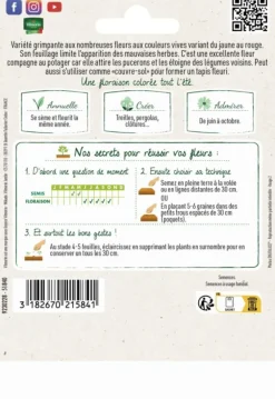 Capucine grande variée Grand jardin Format maxi Vilmorin - graines à semer