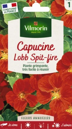 Capucine Lobb Spit-Fire Vilmorin - graines à semer