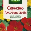 Capucine Tom Pouce Variée Vilmorin - graines à semer