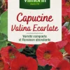 Capucine Valina Écarlate Vilmorin - graines à semer