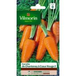 Carotte de Chantenay à cœur rouge 2 Vilmorin - graines à semer