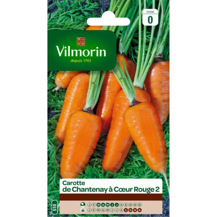 Carotte de Chantenay à cœur rouge 2 Vilmorin - graines à semer