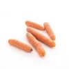 Carotte lavée bio de France ou Italie - Prix au kg