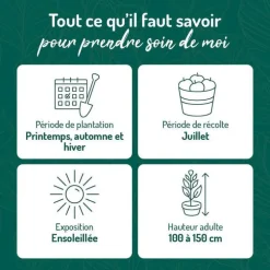 Caseille Josta Bio. Le pot de 2 litres