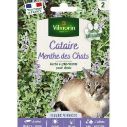 Cataire spéciale pour animaux Menthe des Chats Vilmorin - graines à semer