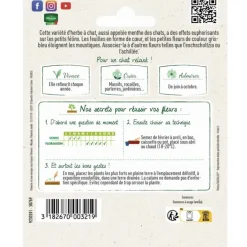 Cataire spéciale pour animaux Menthe des Chats Vilmorin - graines à semer