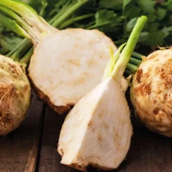 Celeri Rave Prinz Bio. La barquette de 3 plants