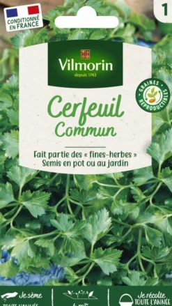Cerfeuil commun Vilmorin - graines à semer