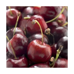 Cerisier Big. Bigalise ® Enjidel Lr. Le pot de 12 litres forme gobelet