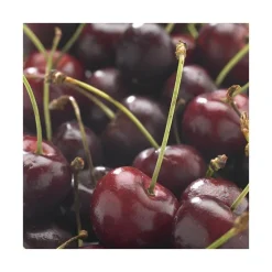 Cerisier Big. De La St Jean ® Gardel Bio. Le pot de 12 litres forme gobelet