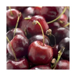 Cerisier Big. Delice De Malicorne ® Agoudel Bio. Le pot de 15 litres