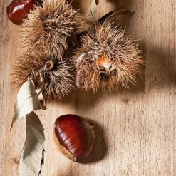 Chataignier Bouche De Betizac. Le pot de 15 litres