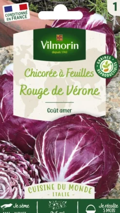 Chicorée à feuilles rouge de Vérone Vilmorin - graines à semer