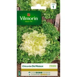 Chicorée de Meaux Vilmorin - graines à semer