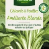 Chicorée Sauvage à feuilles améliorée Blonde Vilmorin - graines à semer