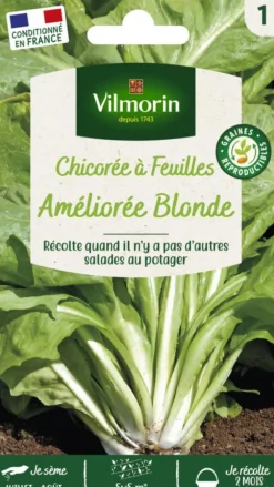 Chicorée Sauvage à feuilles améliorée Blonde Vilmorin - graines à semer