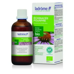 Échinacée pourpre extrait de plantes fraîches bio Ladrôme - 100 ml