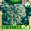 Chou Brocoli Calabrese Natalino Bio Vilmorin - graines à semer