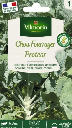Chou Fourrager Proteor Vilmorin - graines à semer