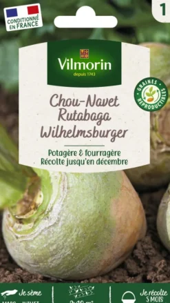 Chou Navet Rutabaga jaune à collet vert Vilmorin - graines à semer