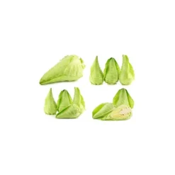 Chou vert pointu bio de France - Prix à la pièce