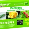 Chrysopes 500 oeufs