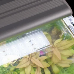 Éclairage LED universel 15W - AQUATLANTIS Univ LED Plus 286