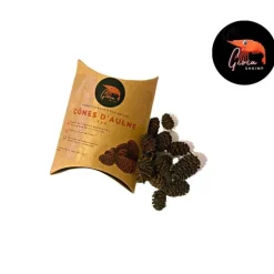 Cônes d'Aulne pour les crevettes d'aquarium Gioiashrimp – boîte de 20