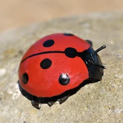 Coccinelle métal PM