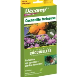 Coccinelles contre la cochenille farineuse Décamp - La boite de 20