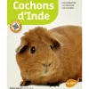 Cochons d'Inde 65 pages 17 vidéos Éditions Eugen ULMER