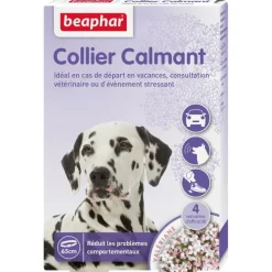 Collier calmant pour chien