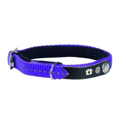 Collier chat Lost violet taille XS