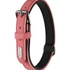 Collier chien Delu rose 36/44 x 2 cm