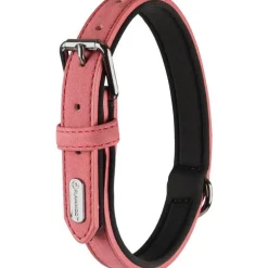 Collier chien Delu rose 19/35 x 1,5 cm
