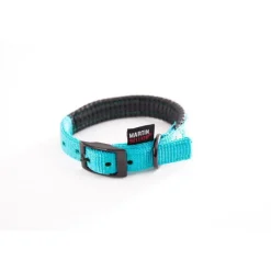 Collier droit Confort pour chien coloris turquoise - 2,5x55 cm