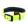 Collier droit Confort pour chien coloris vert citron - 2,5x65 cm