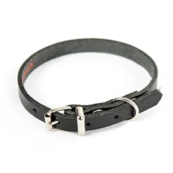 Collier en cuir noir pour chien 1,4x36 cm