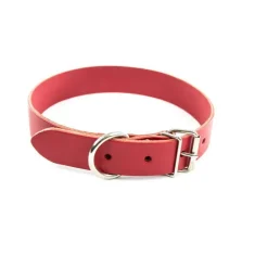 Collier en cuir rouge pour chien 1,6x40 cm