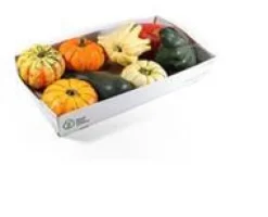 Coloquinte - Ø 10 cm