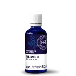 Complément alimentaire gemmo macérat olivier bio Herbes et Traditions - 50 ml